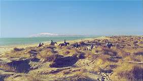 Dünen am Mittelmeer