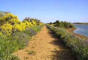 Weg zum Strand am Mittelmeer