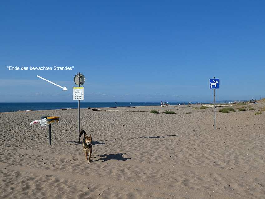 Strand von Portiragnes Plage