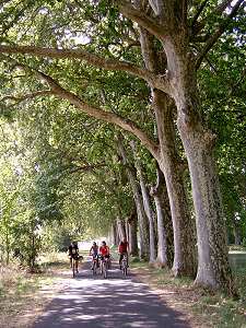 Der Canal du Midi bei Portiragnes Plage