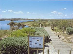 Das Naturschutzgebiet von Portiragnes Plage