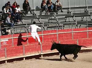 Stierkampf in Portiragnes Plage